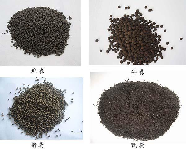 鸡粪物料